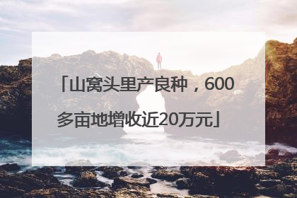 山窝头里产良种，600多亩地增收近20万元